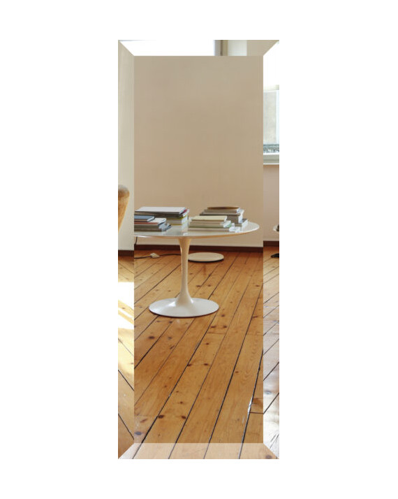 Radiateur Miroir Bizo.